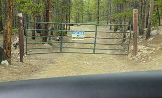 Camping near Blodgett Campground: Miners Camp - BLM Dispersed, Leadville, Colorado