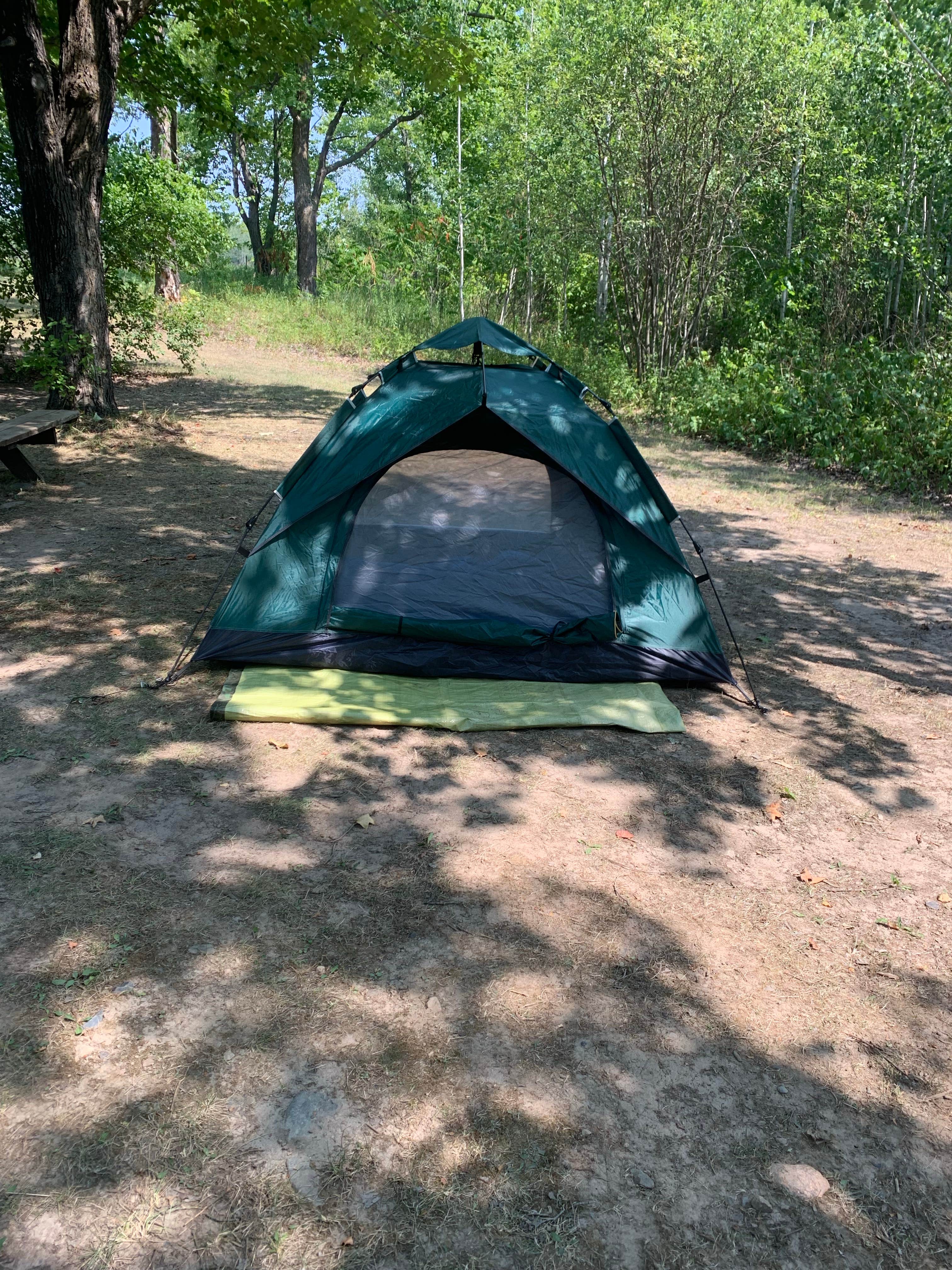 Camper submitted image from Sherwood Forest Campground - 4