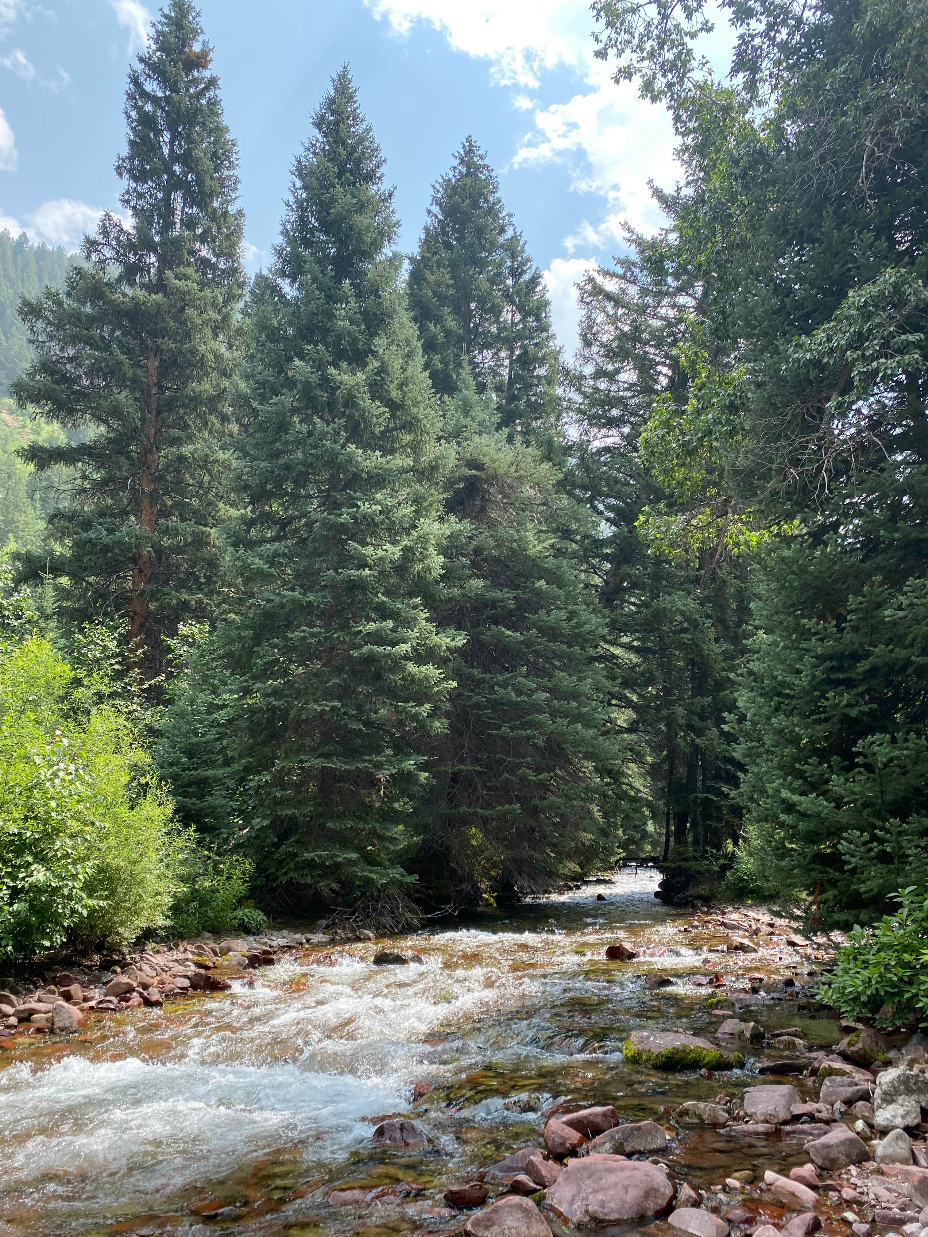 Camper-submitted photo at Silver Bar near Snowmass Village, CO