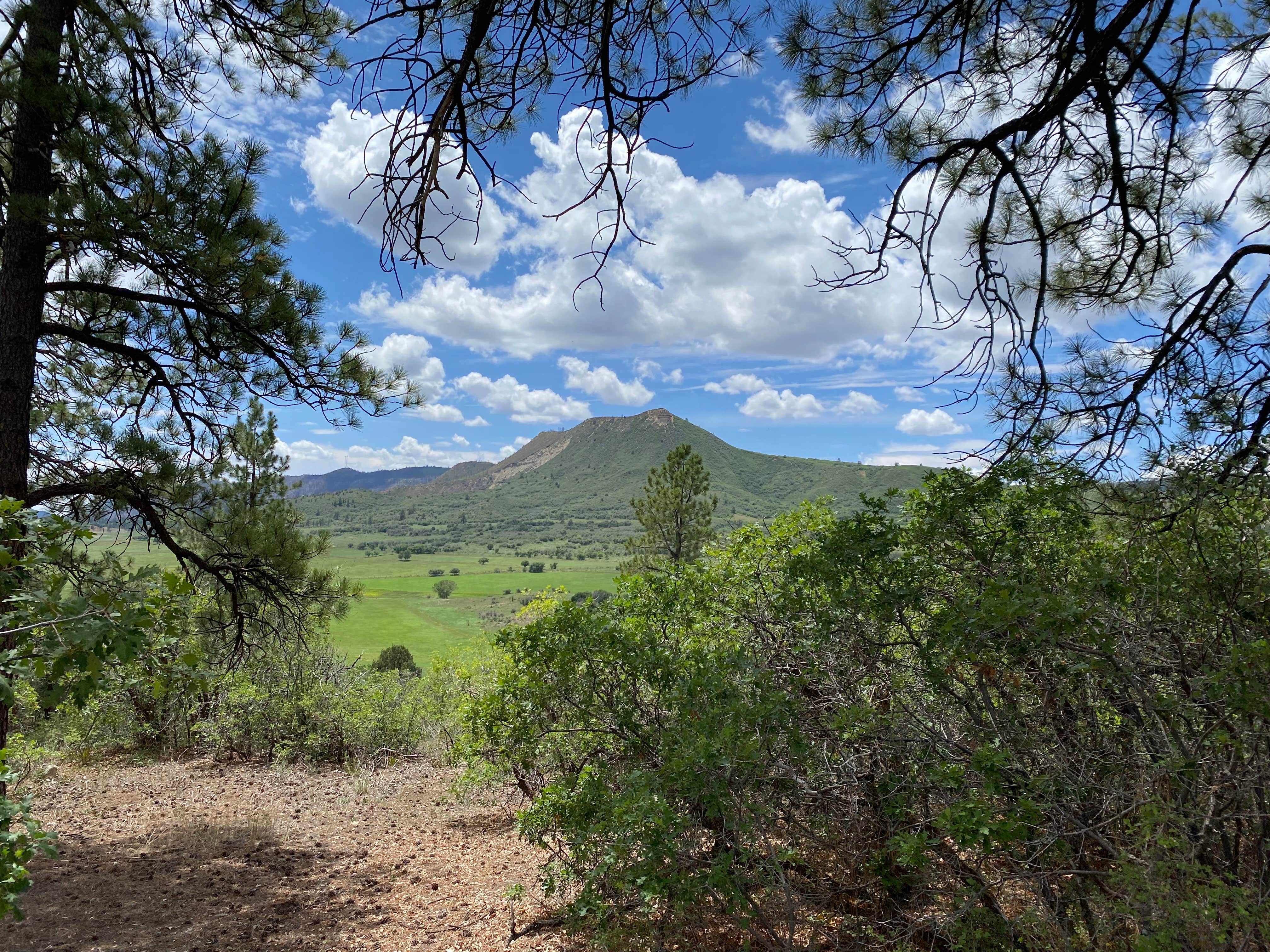 Camper submitted image from Target Tree Campground - 5