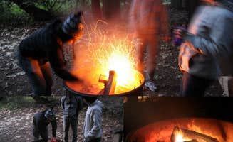 Kalai L.'s photo at Pfeiffer Big Sur State Park Campground near Pebble Beach, CA