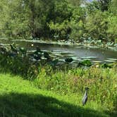 Review photo of Brazos Bend State Park Campground by Natalie L., August 17, 2021