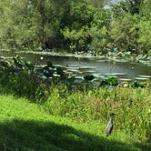 Review photo of Brazos Bend State Park by Natalie L., August 17, 2021