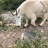 Review photo of Blue Lake Campground - Temporarily Closed by Cassidy O., August 17, 2021