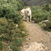 Review photo of Blue Lake Campground - Temporarily Closed by Cassidy O., August 17, 2021