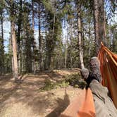 Review photo of Mueller State Park Campground by Fabio O., August 17, 2021