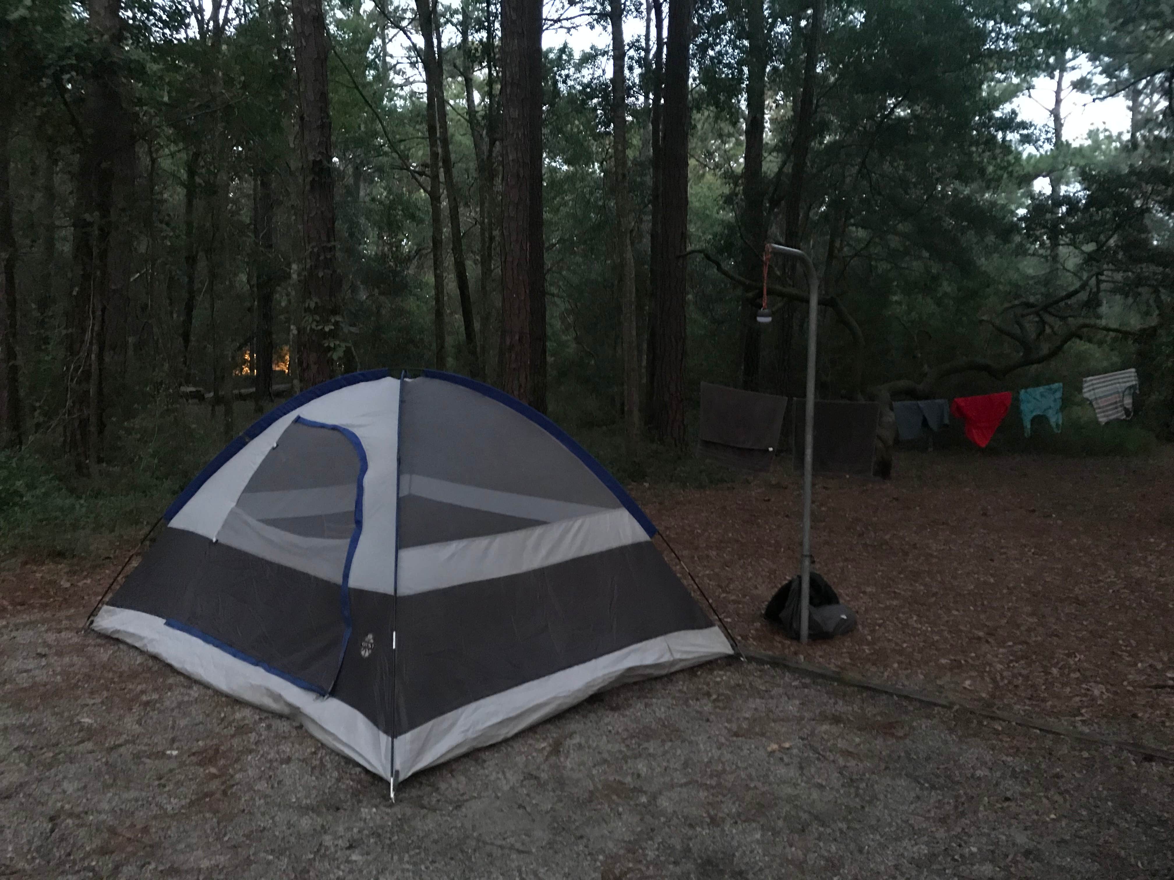 Natalie L.'s photo at Carolina Beach State Park Campground near Leland, NC