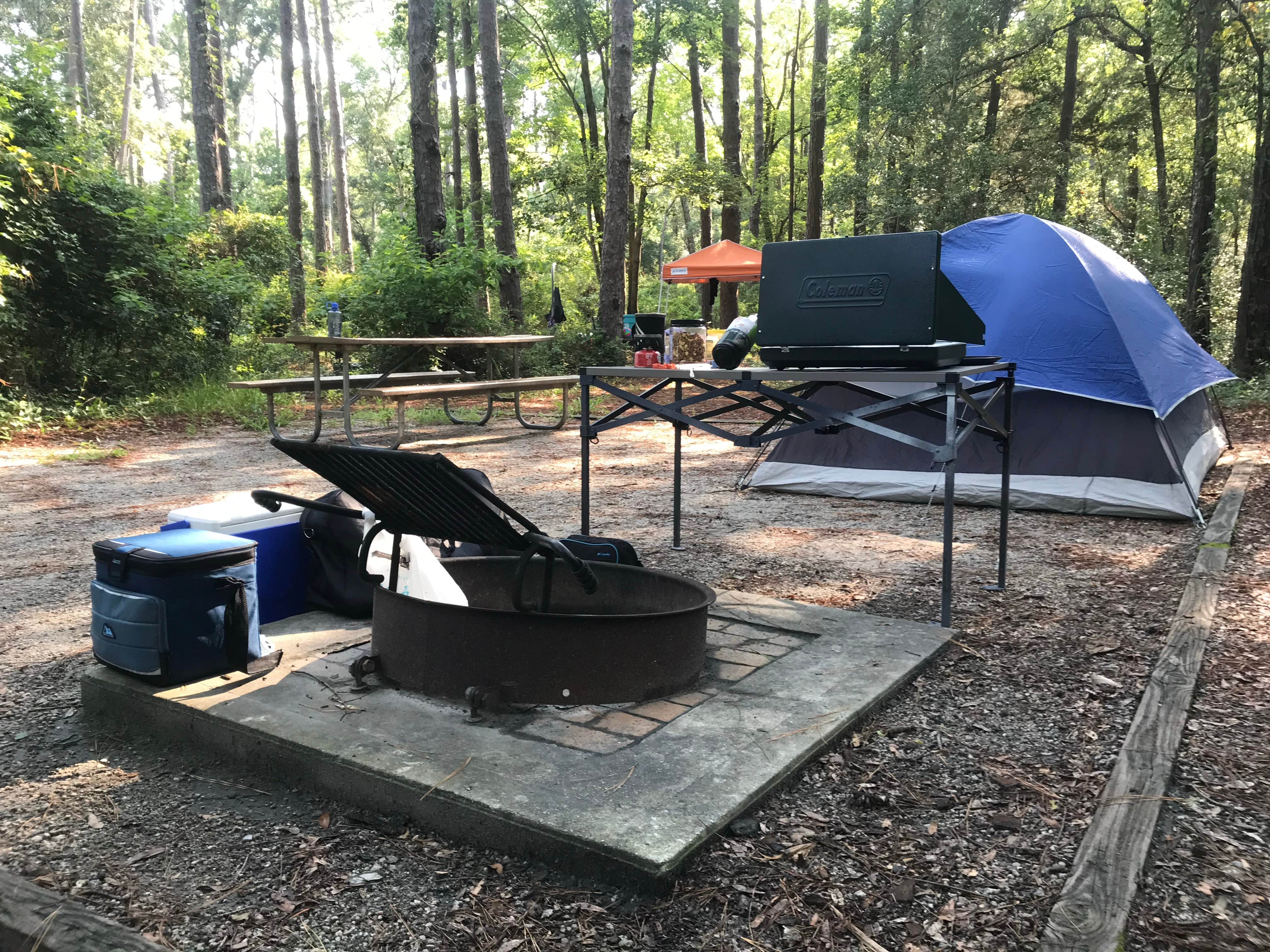 Natalie L.'s photo at Carolina Beach State Park Campground near Burgaw, NC