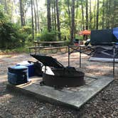 Review photo of Carolina Beach State Park Campground by Natalie L., August 17, 2021