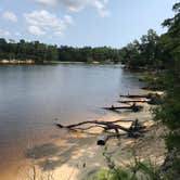 Review photo of Carolina Beach State Park Campground by Natalie L., August 17, 2021