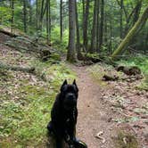 Review photo of Colonel Denning State Park Campground by Casey L., August 17, 2021