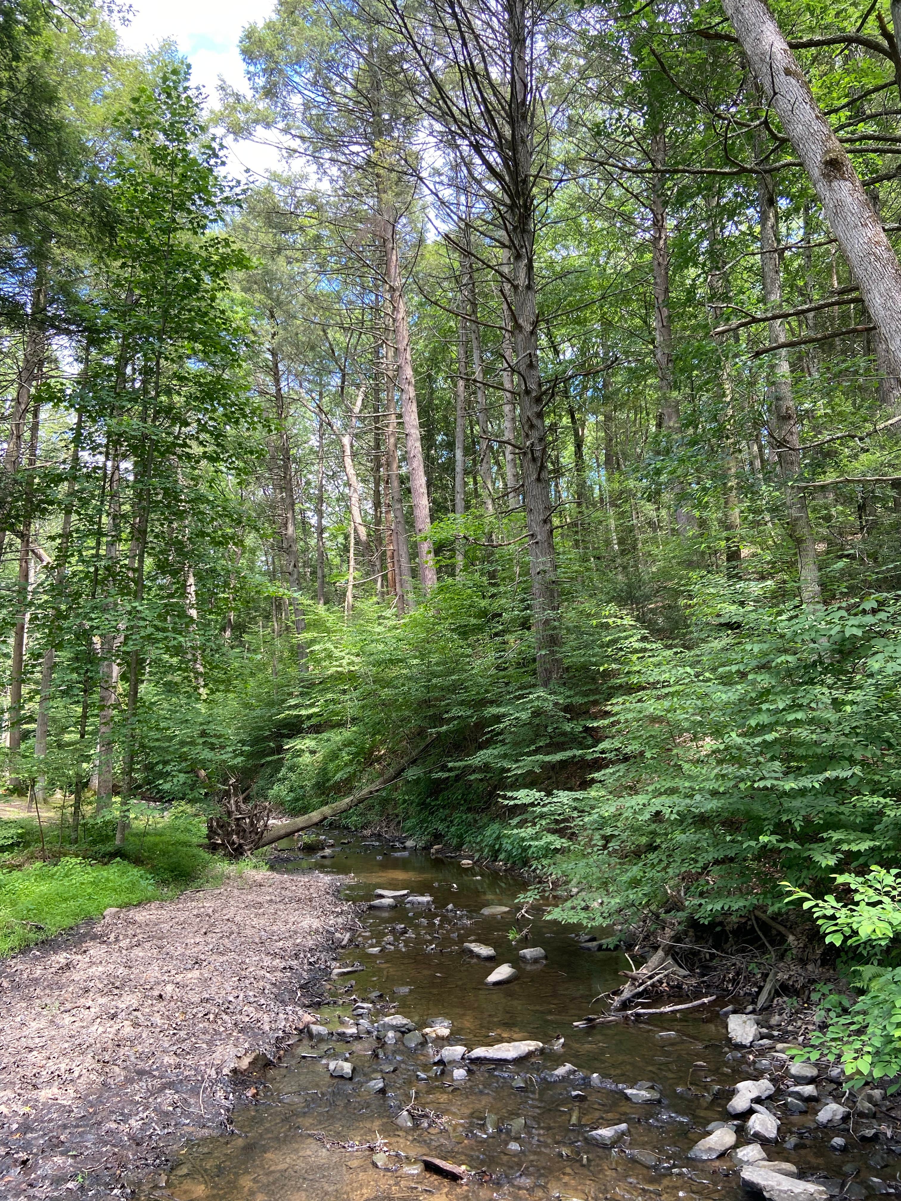 Camper submitted image from Colonel Denning State Park Campground - 2