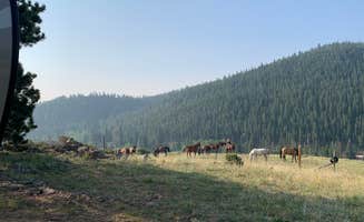 Michelle G.'s photo of camping with a horse at Beaver Meadows Resort Ranch near Laramie, WY
