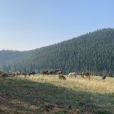 Review photo of Beaver Meadows Resort Ranch by Michelle G., August 17, 2021