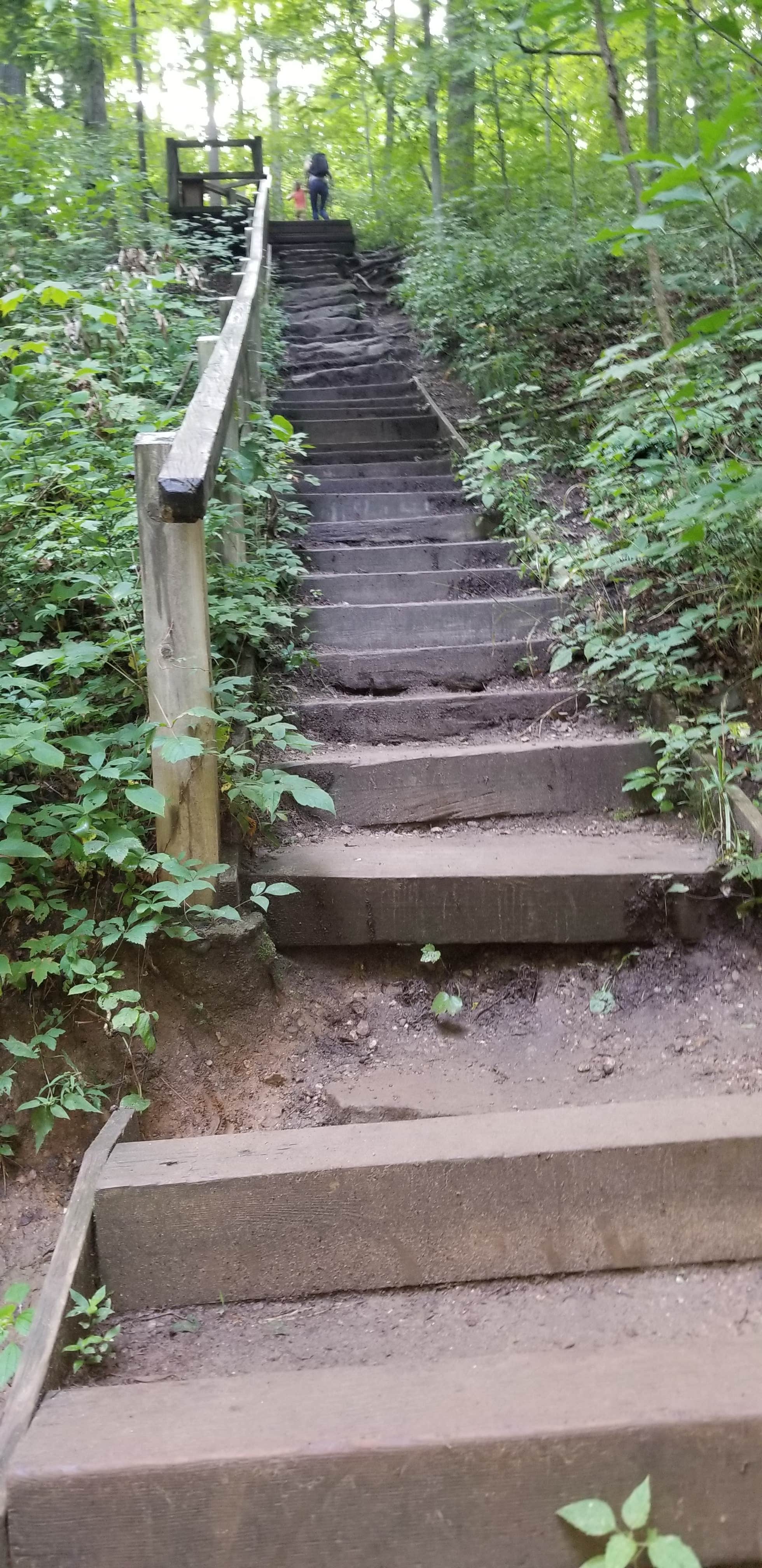 Turkey Run Canoe & Camping Bloomingdale, IN