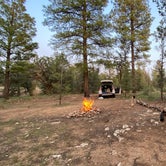 Review photo of Forest Service Road 328 Dispersed by Morgan A., August 17, 2021