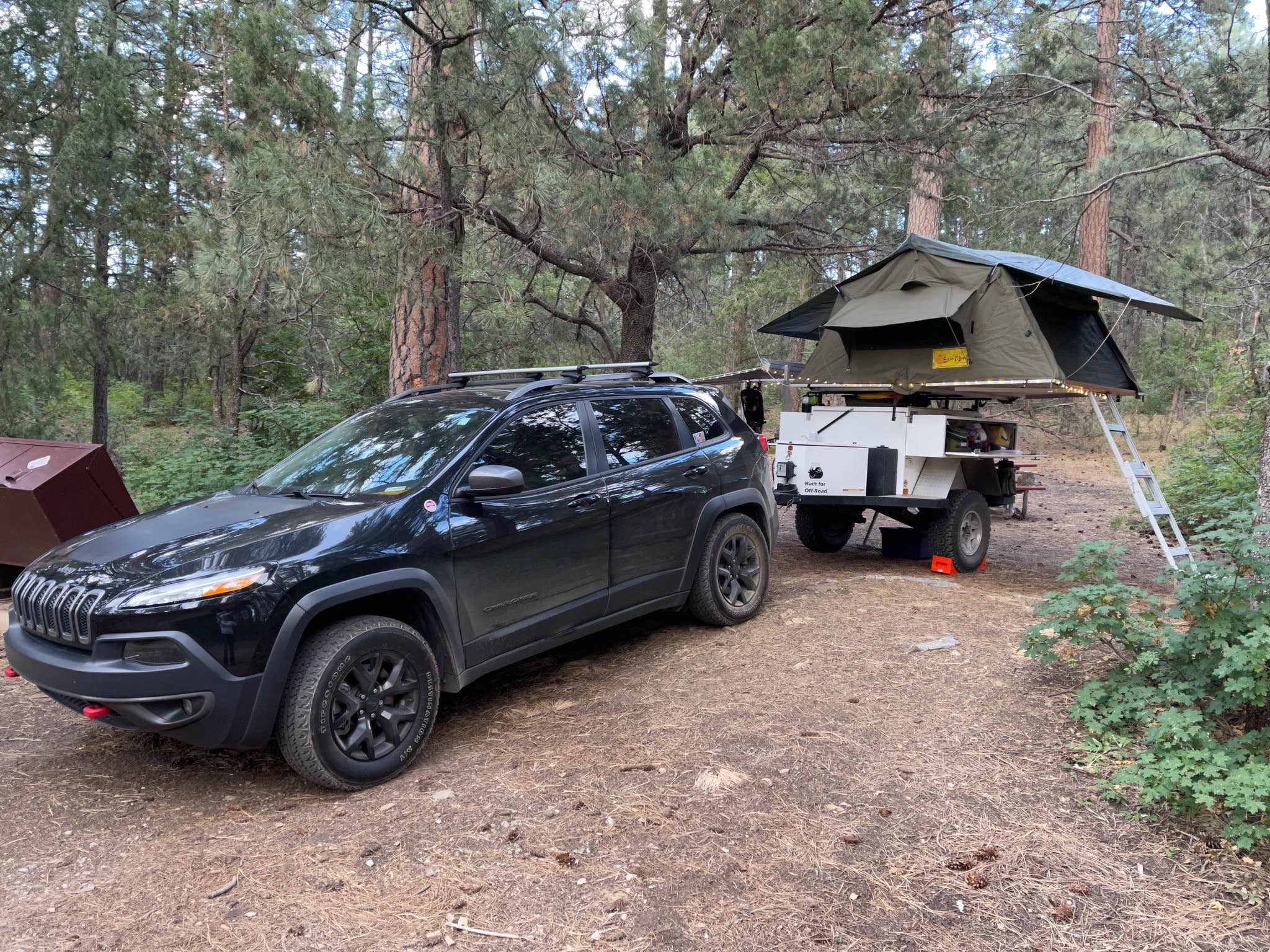 Camper submitted image from Bosque Dispersed Campground - 1