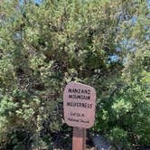 Review photo of Bosque Dispersed Campground by Heidi￼ J., August 17, 2021