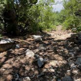 Review photo of Bosque Dispersed Campground by Heidi￼ J., August 17, 2021