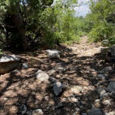 Review photo of Bosque Dispersed Campground by Heidi￼ J., August 17, 2021