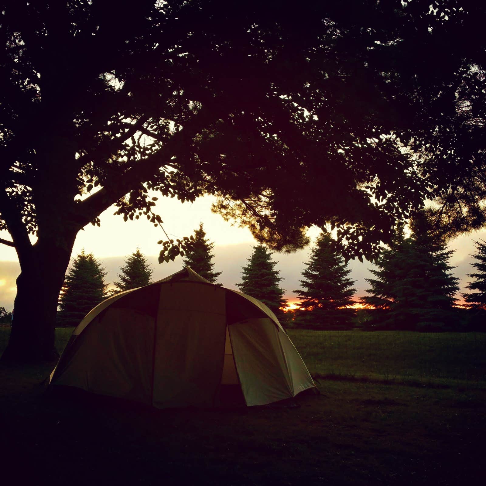 Dulce B.'s photo at Fremont RV Campground near Nelsonville, WI