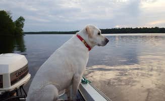 Kara H.'s photo of camping with pets at Superior National Forest Fall Lake Campground near Superior National Forest