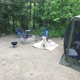 Review photo of Superior National Forest Fall Lake Campground by Kara H., June 19, 2018