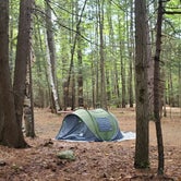 Review photo of White Birches Camping Park by Miccal  M., August 17, 2021