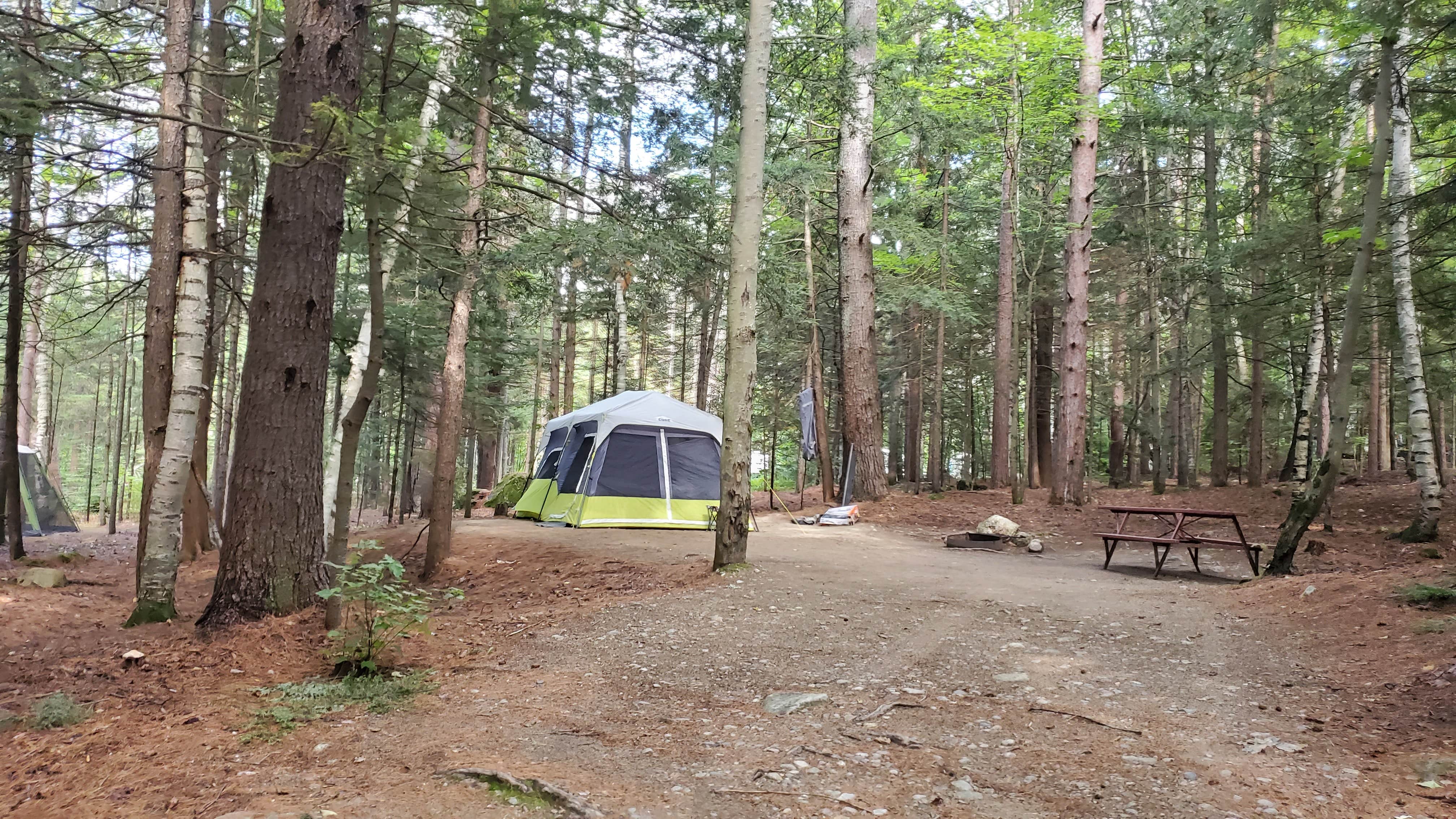 Miccal  M.'s photo at White Birches Camping Park near Berlin, NH