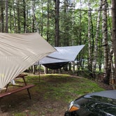 Review photo of White Birches Camping Park by Miccal  M., August 17, 2021