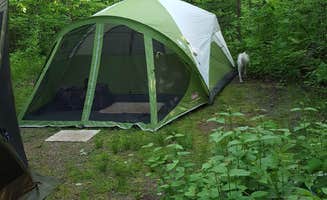 Kara H.'s photo at Superior National Forest Fall Lake Campground near Superior National Forest