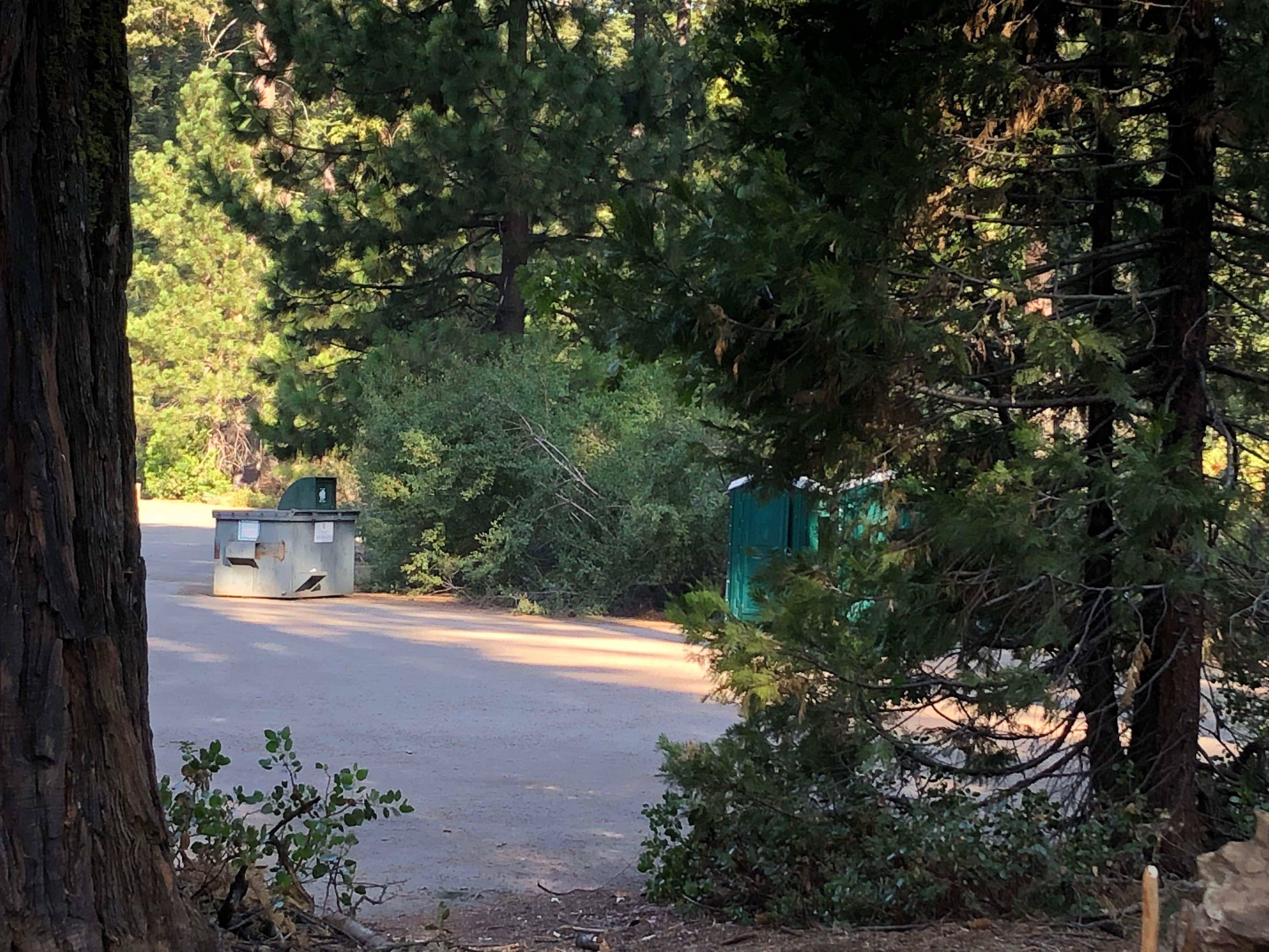 Camper submitted image from Goat Meadow - Dispersed Camp Site - 5