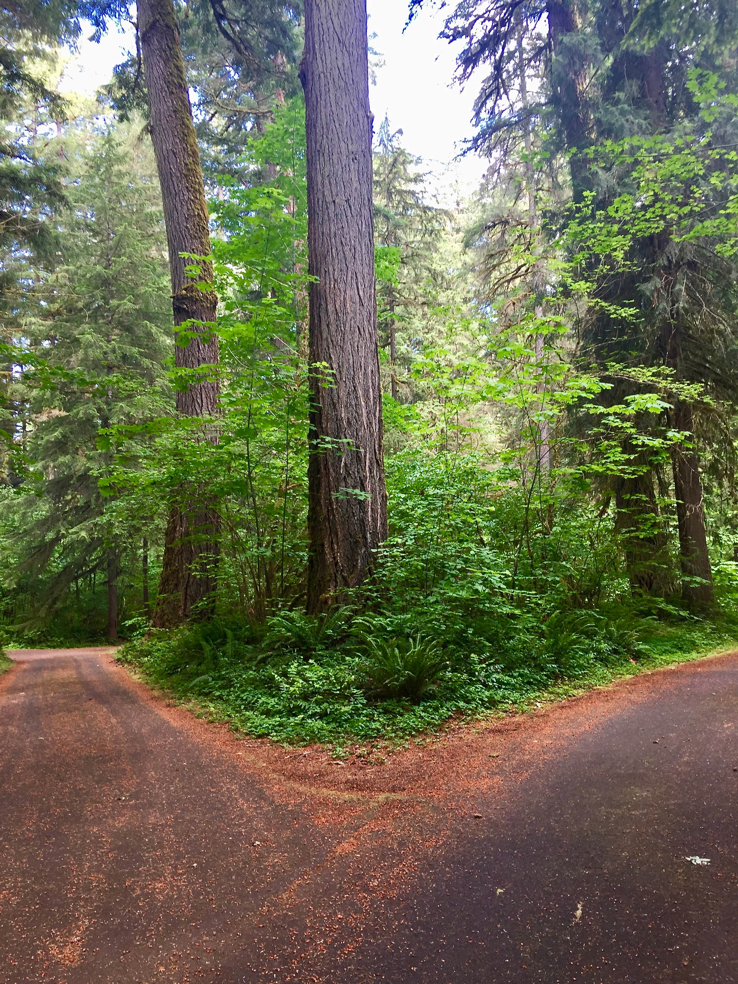 Roads