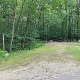 Review photo of Wompatuck State Park Campground by K L., August 17, 2021
