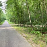 Review photo of Wompatuck State Park Campground by K L., August 17, 2021