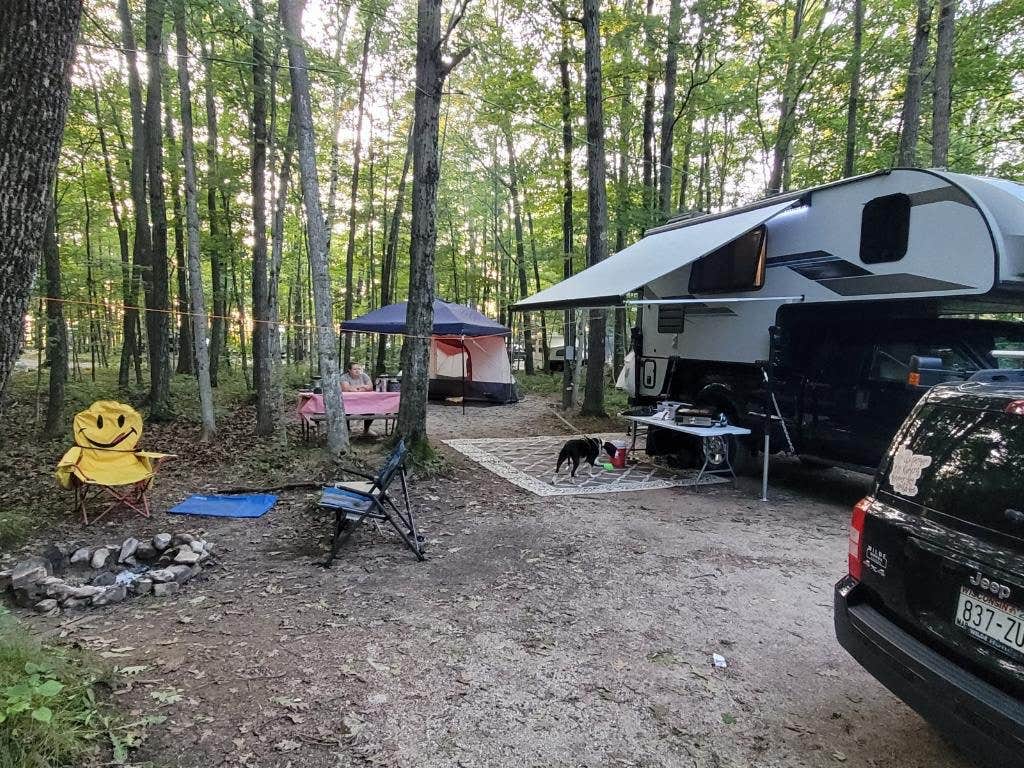 kassondra T.'s photo of camping with pets at Baileys Woods Campground near Kewaunee, WI