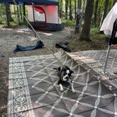 Review photo of Baileys Woods Campground  by kassondra T., August 17, 2021