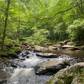 Review photo of Julian Price Park Campground — Blue Ridge Parkway by Roxanne M., August 17, 2021