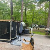 Review photo of Fall Creek Falls State Park Campground by Roxanne M., August 17, 2021