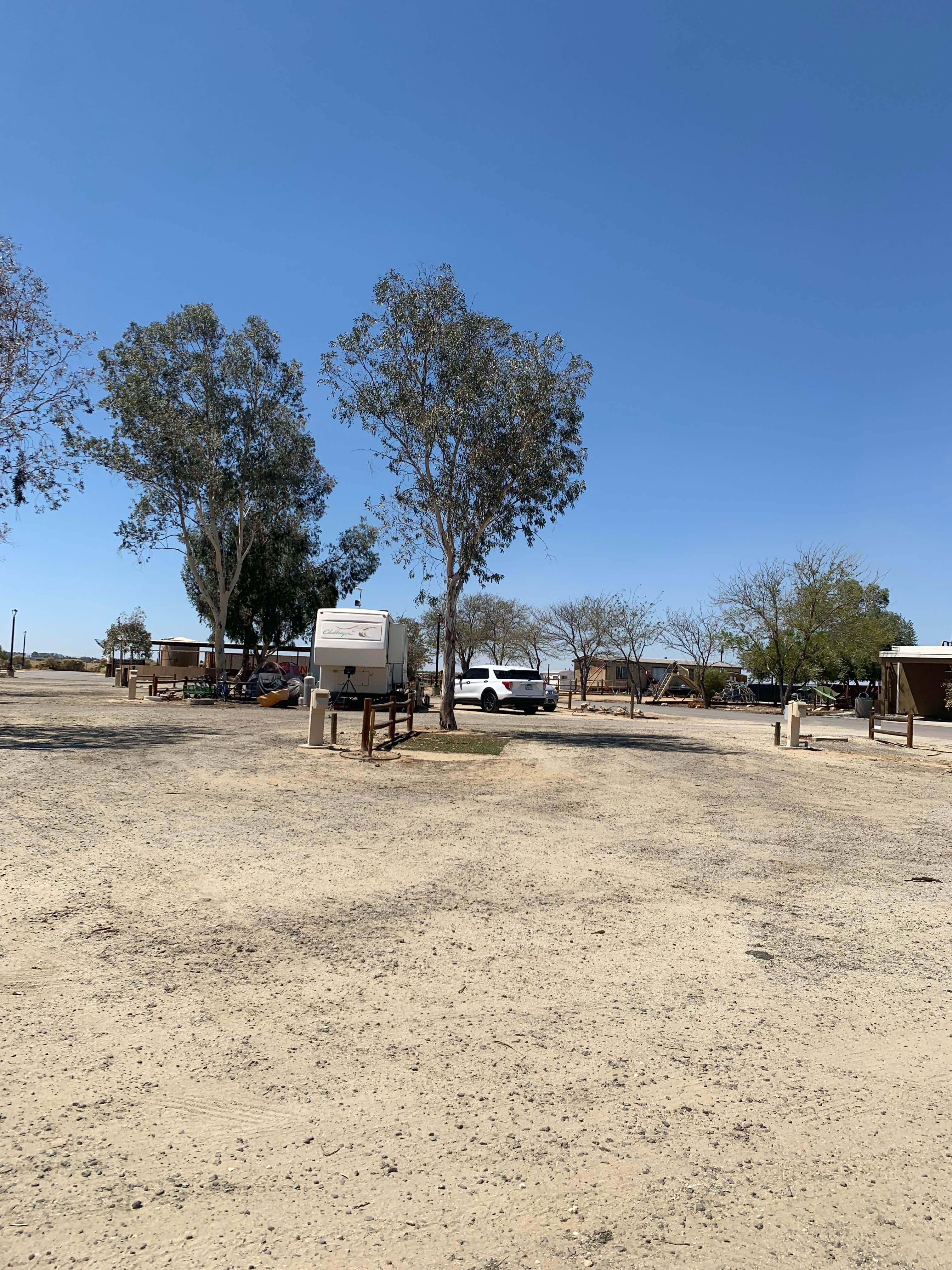 Camper-submitted photo at Lost Hills RV Park near Alpaugh, CA