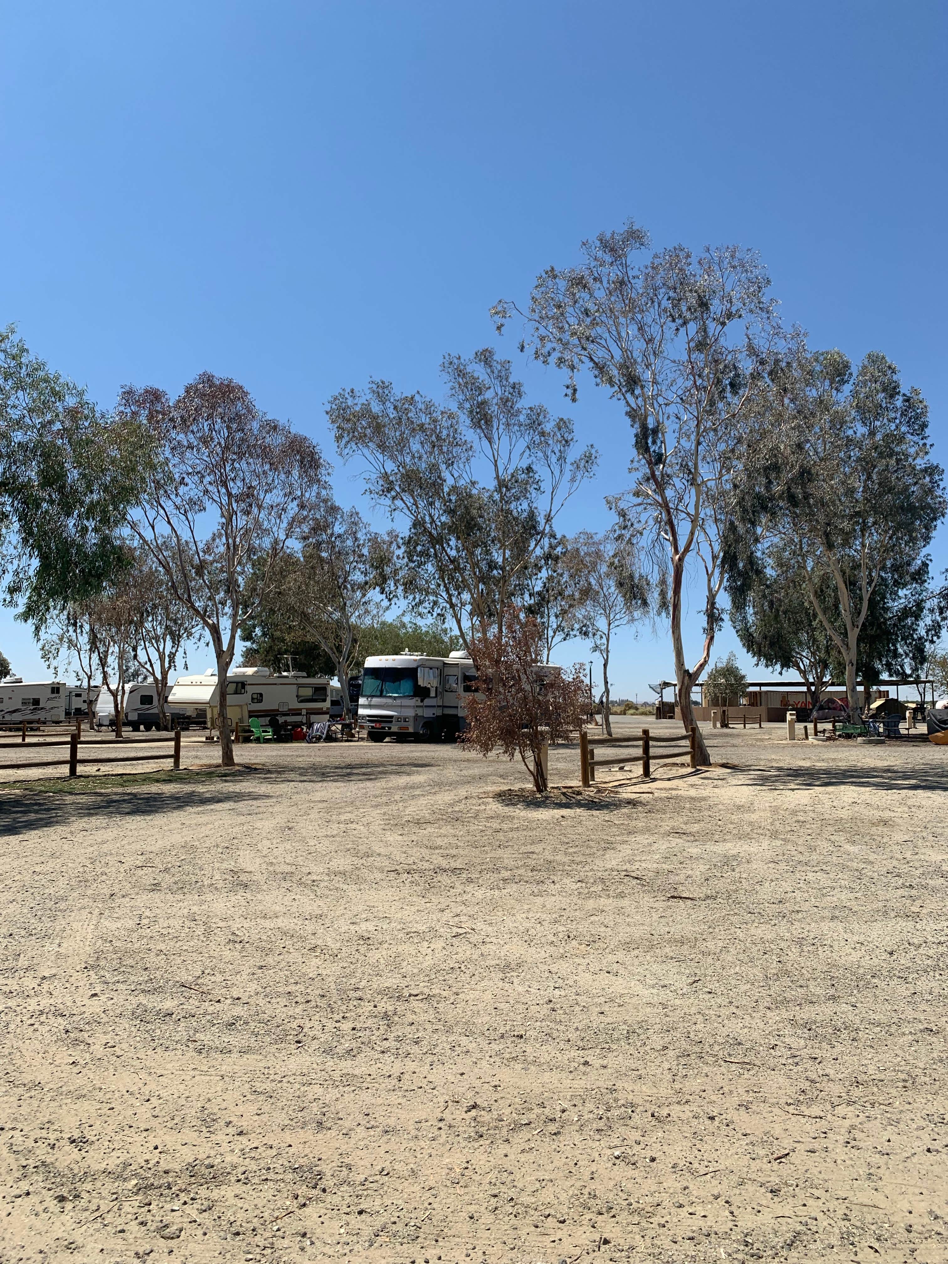 Camper-submitted photo at Lost Hills RV Park near Alpaugh, CA