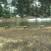 Review photo of Glacier Basin Campground — Rocky Mountain National Park by Troy C., June 19, 2018