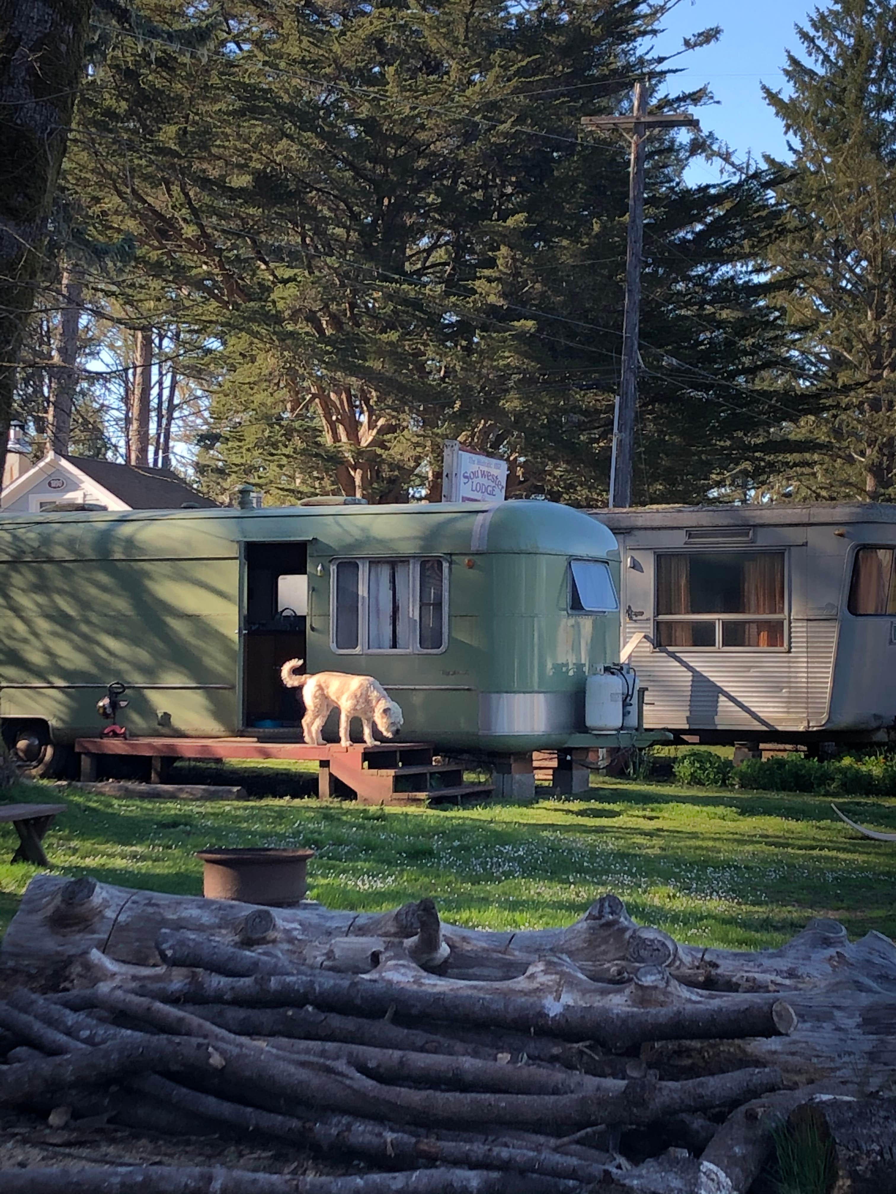 Bonni W.'s photo at Sou'wester Historic Lodge & Vintage Travel Trailer Resort near Ocean Park, WA