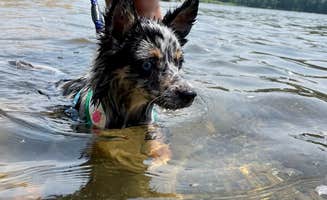 Sabrina H.'s photo of camping with pets at Brunswick Family Campground near Braddock Heights, MD