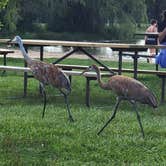 Review photo of Ottawa Lake Campground — Kettle Moraine State Forest-Southern Unit by Kelly M., August 18, 2021