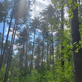 Review photo of Ottawa Lake Campground — Kettle Moraine State Forest-Southern Unit by Kelly M., August 18, 2021