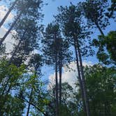 Review photo of Ottawa Lake Campground — Kettle Moraine State Forest-Southern Unit by Kelly M., August 18, 2021