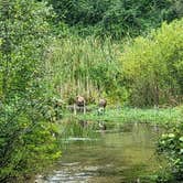 Review photo of Ottawa Lake Campground — Kettle Moraine State Forest-Southern Unit by Kelly M., August 18, 2021