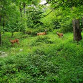 Review photo of Camp Taylor Campground by Nate & Erika L., August 18, 2021