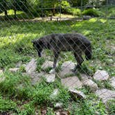 Review photo of Camp Taylor Campground by Nate & Erika L., August 18, 2021